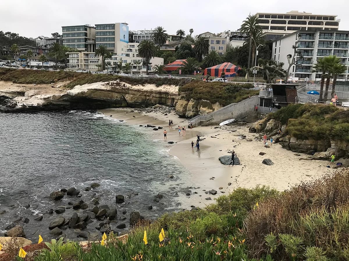 La Jolla Cove beach, cliffs, and nearby buildings.